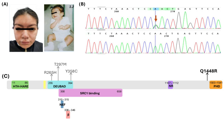 Figure 1
