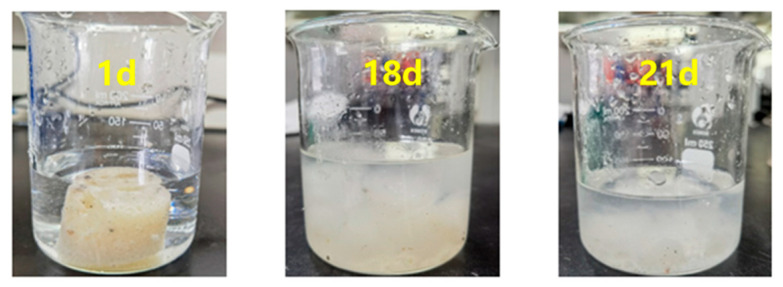 Figure 21