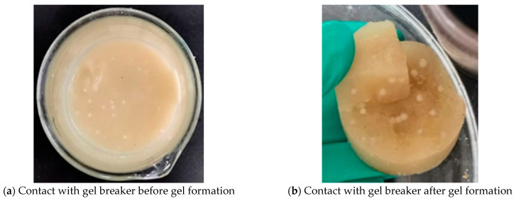 Figure 22