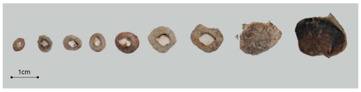 Figure 7