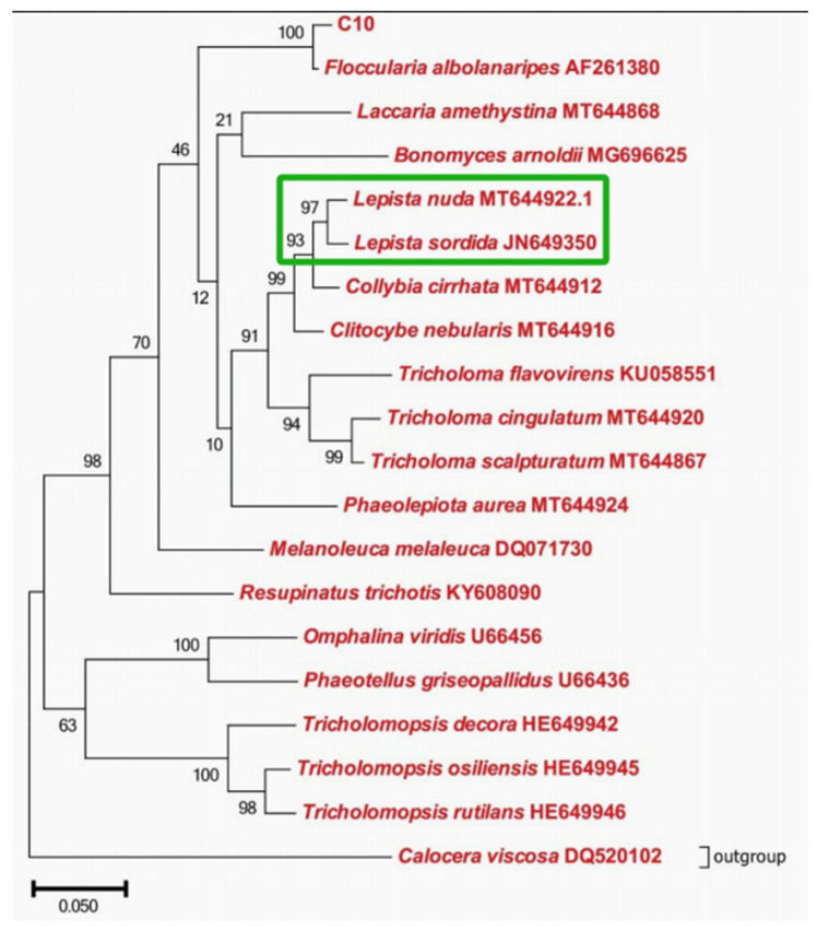 Figure 3