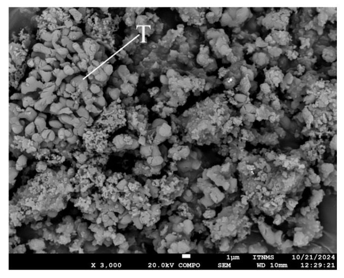 Figure 9
