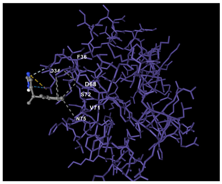 Figure 7