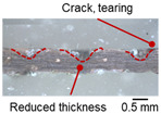 Figure 22