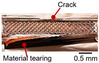 Figure 43