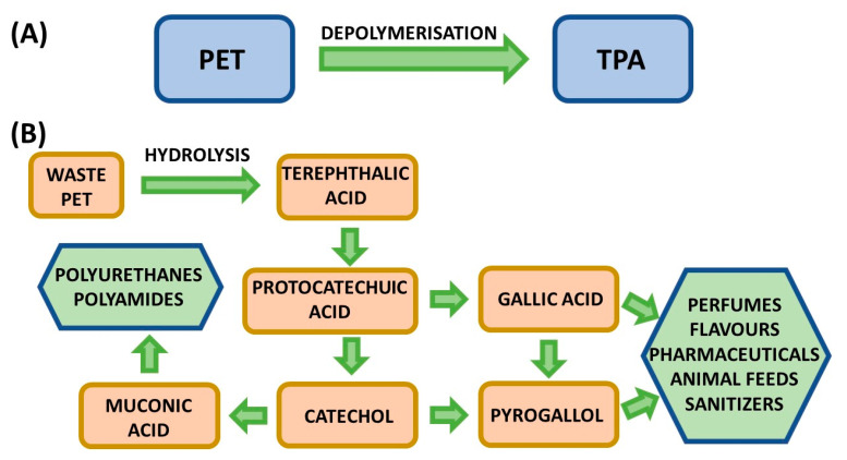 Figure 34