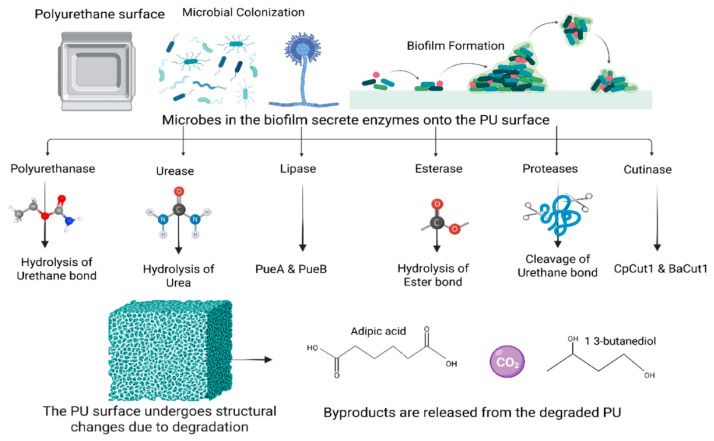Figure 40
