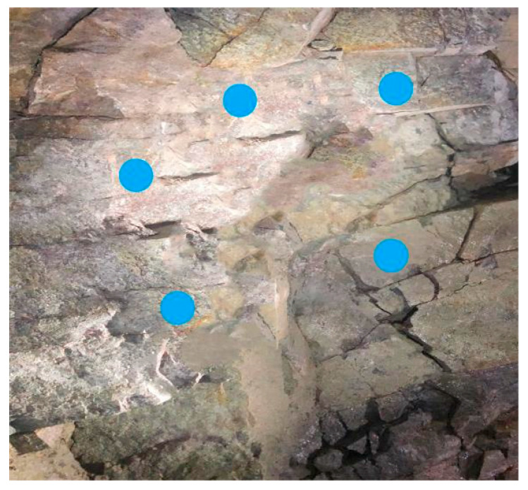 Figure 21