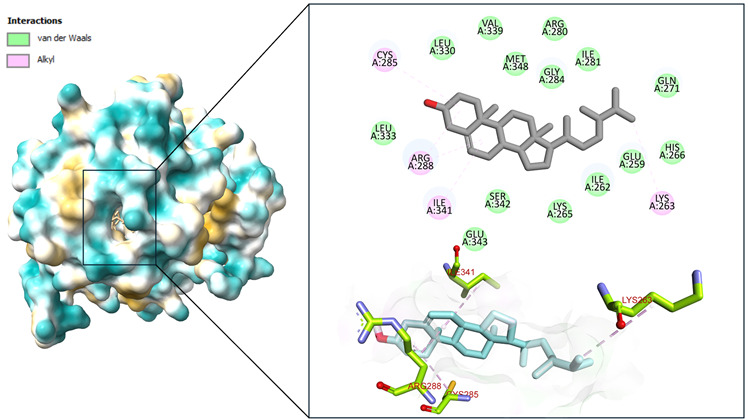 Figure 10