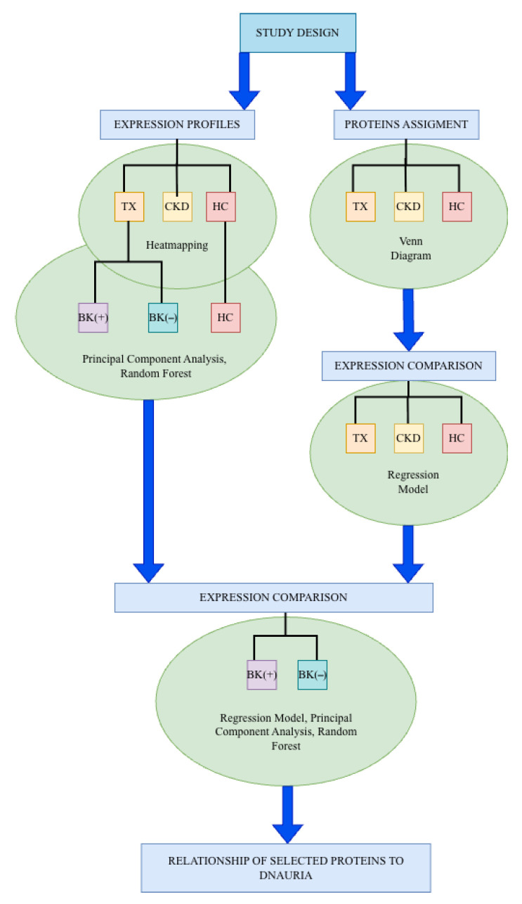 Figure 13