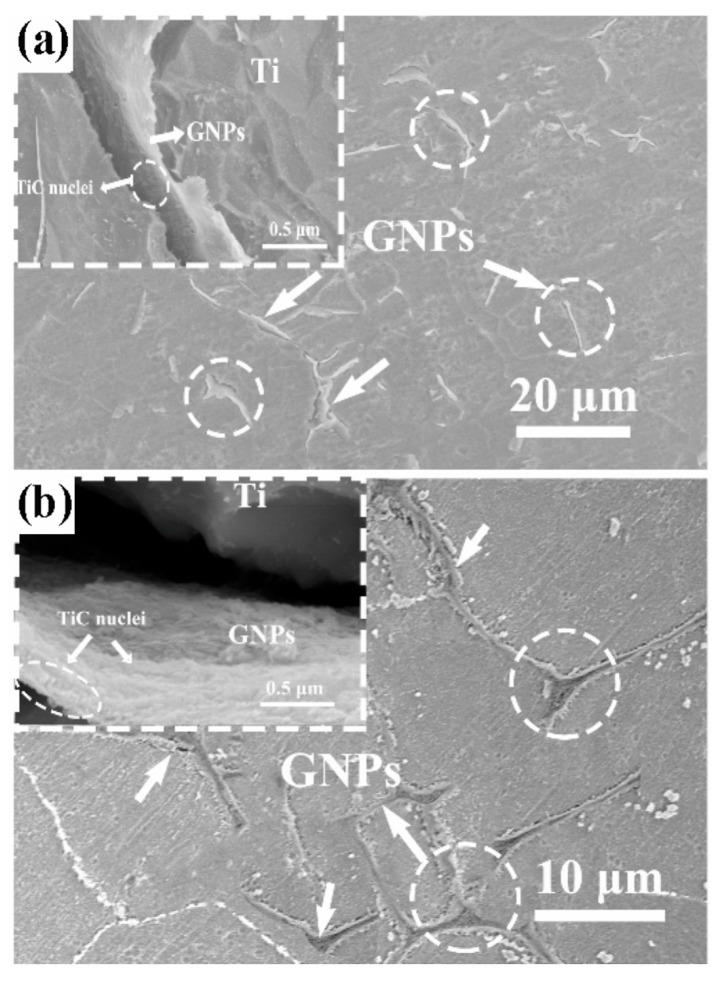 Figure 22