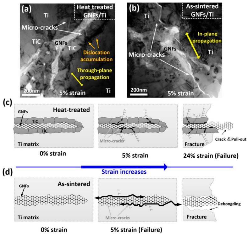 Figure 31