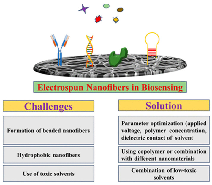 Figure 24