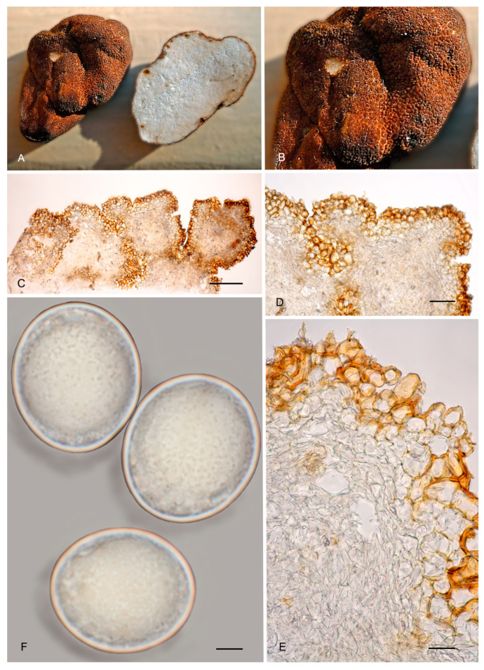 Figure 15