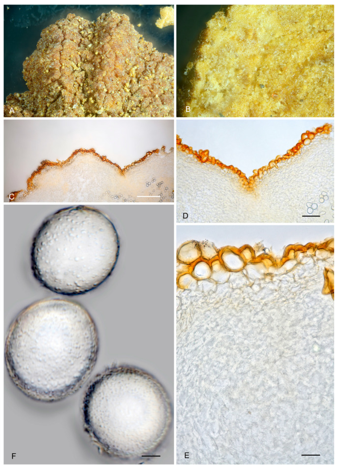 Figure 16