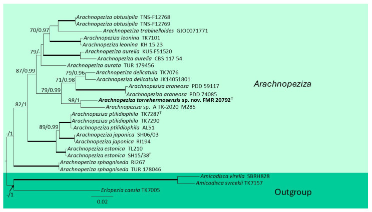 Figure 4