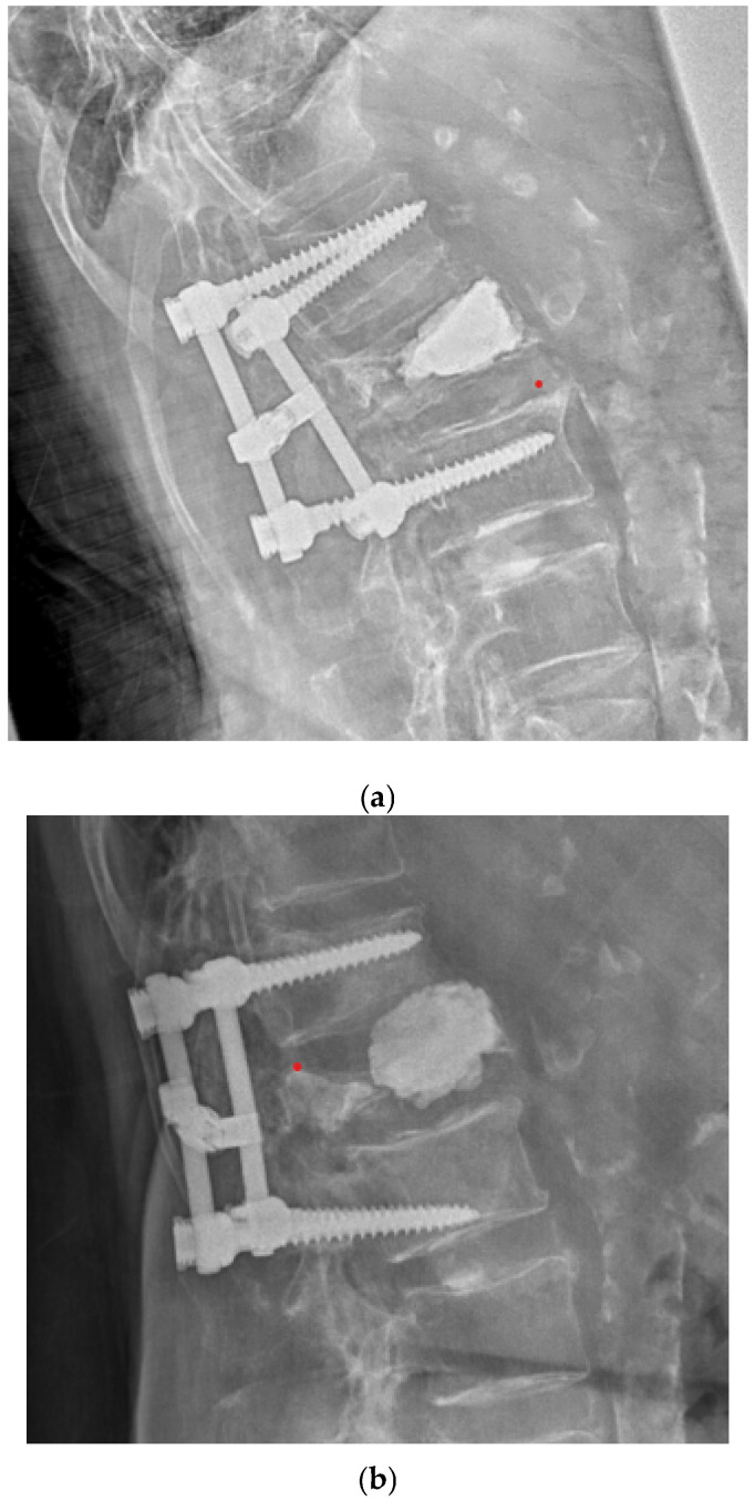 Figure 7