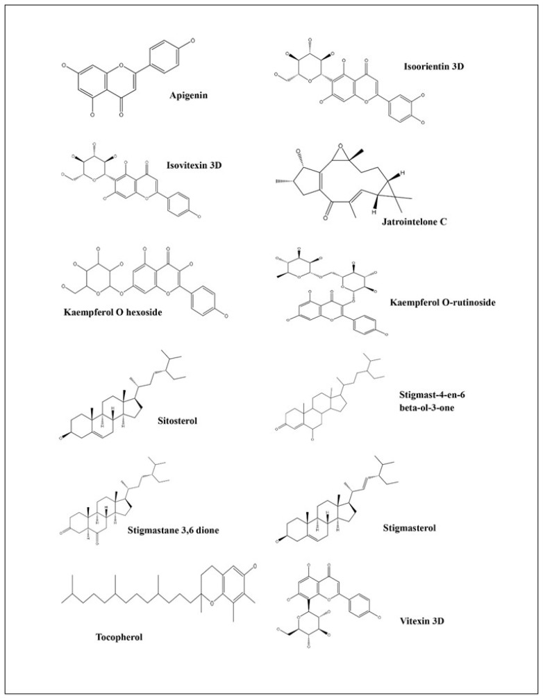 Figure 10