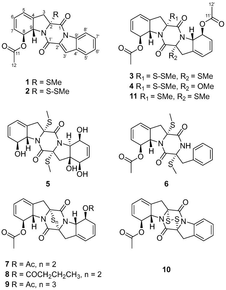 Figure 2