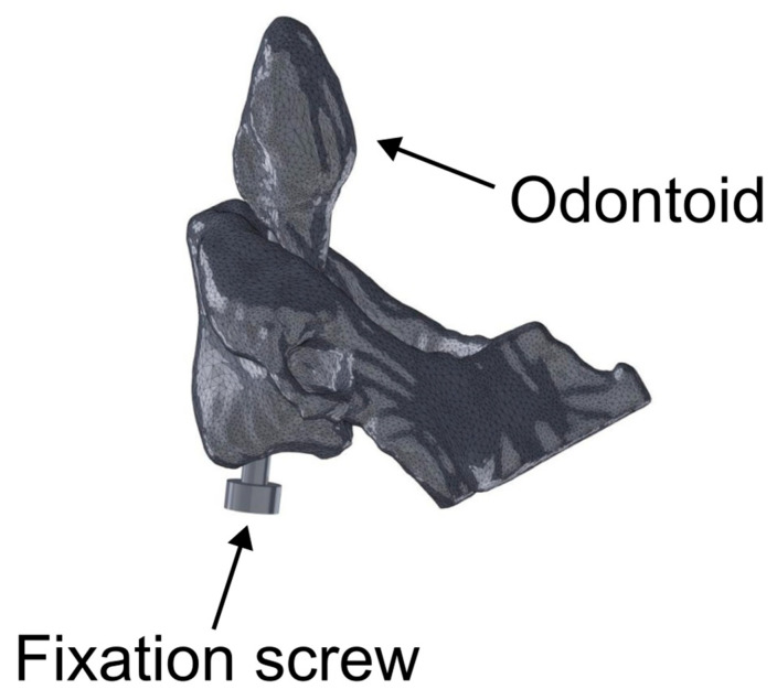 Figure 2