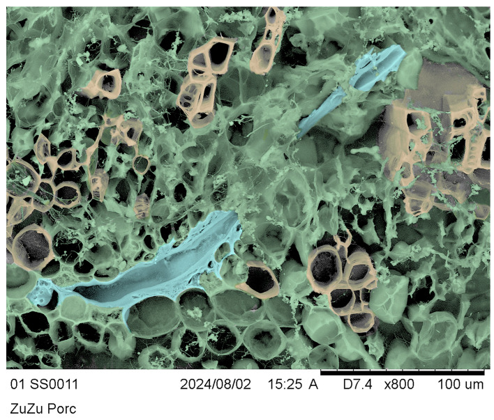 Figure 9