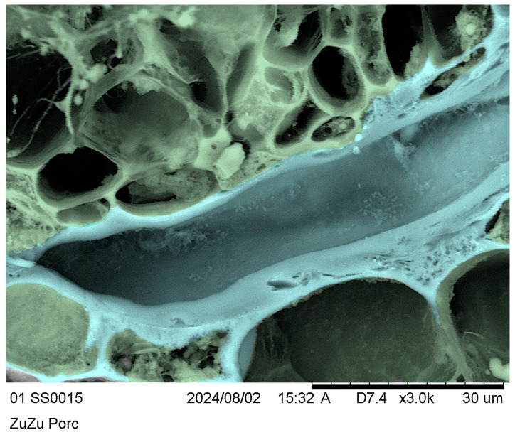 Figure 10