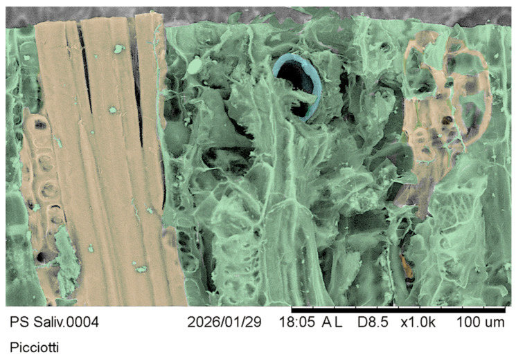 Figure 11