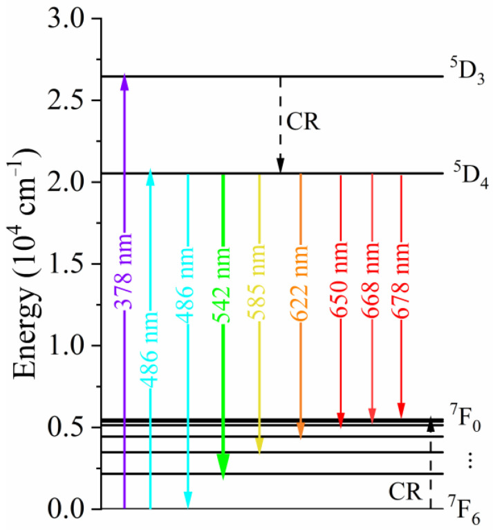 Figure 5