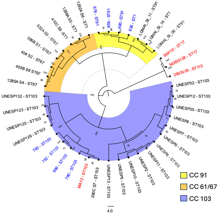 Figure 5