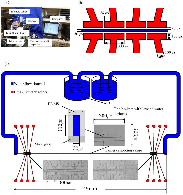 Figure 11