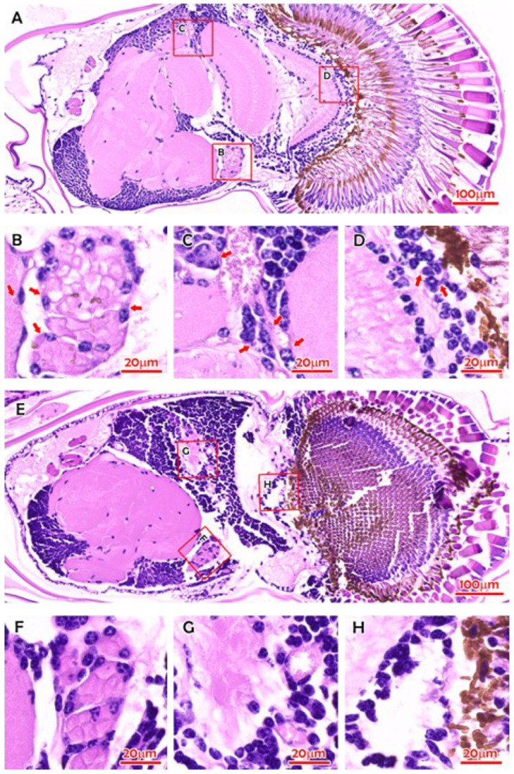 Figure 9