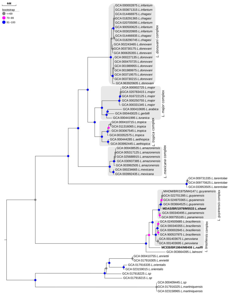 Figure 7
