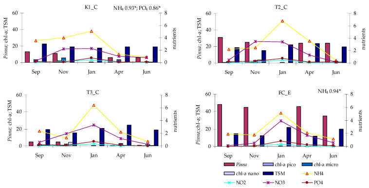 Figure 12