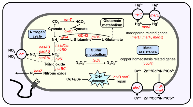 Figure 10