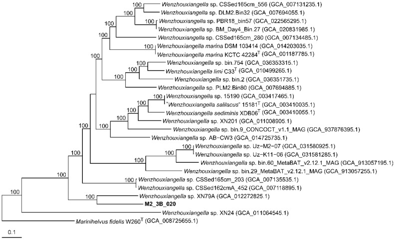 Figure 2