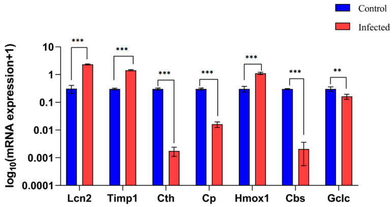 Figure 9