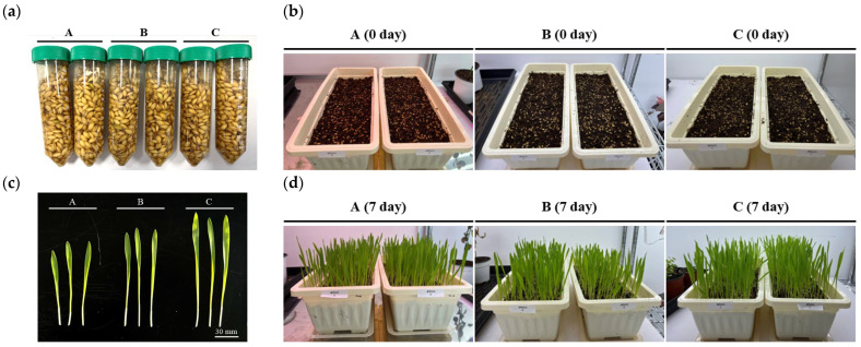Figure 14