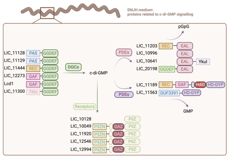 Figure 11
