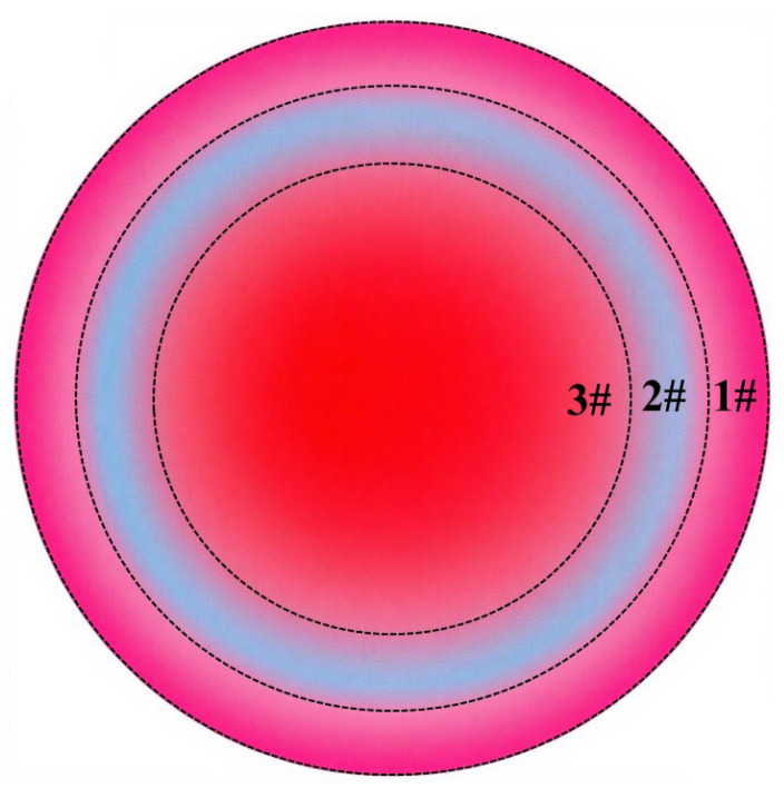 Figure 24