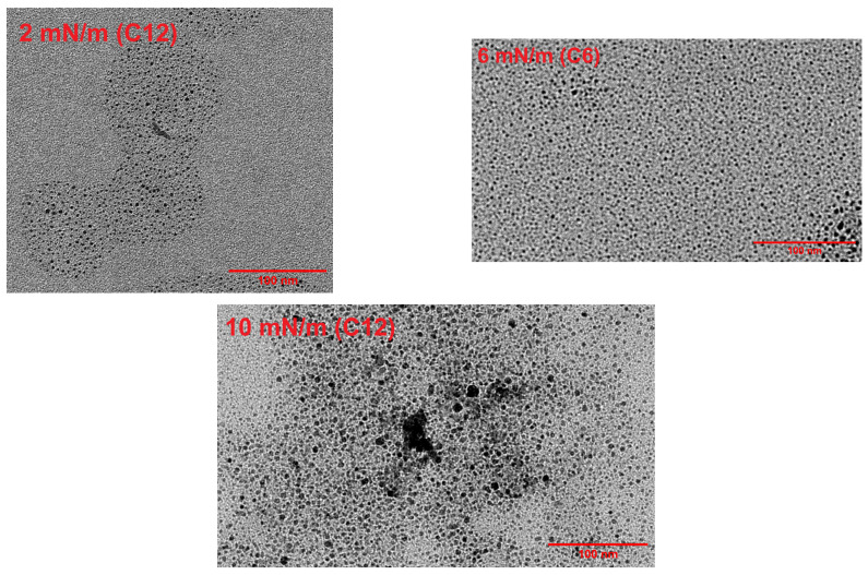 Figure 11