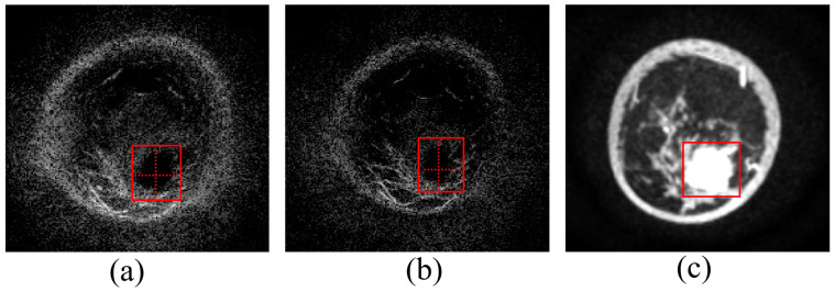Figure 13