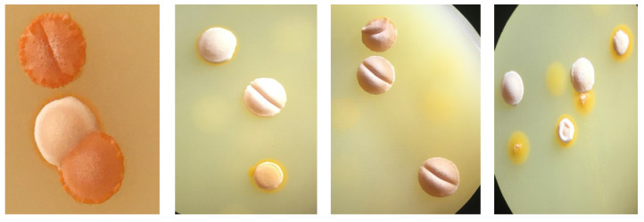 Figure 2