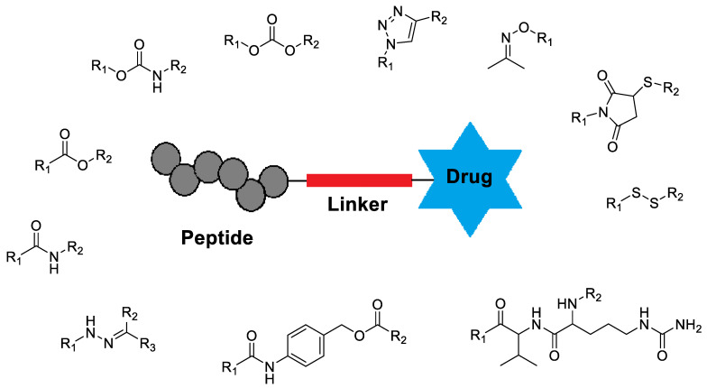 Figure 25