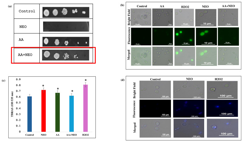 Figure 5