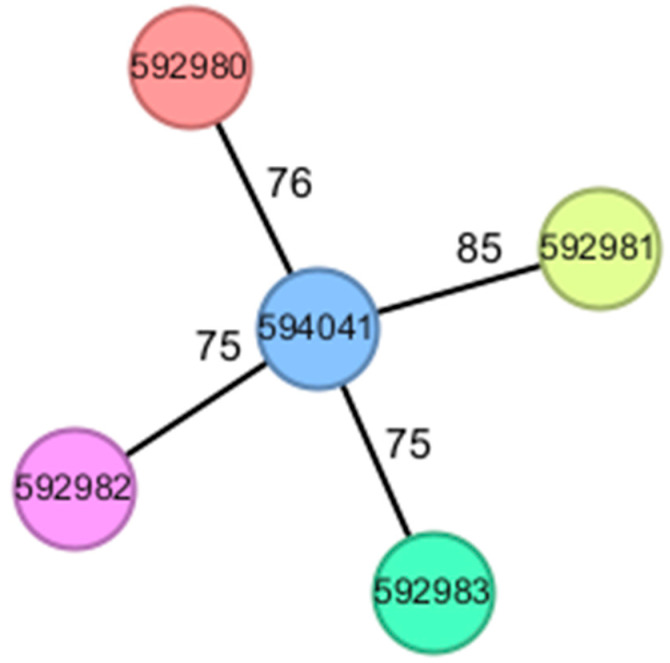 Figure 5