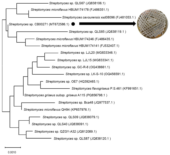 Figure 2