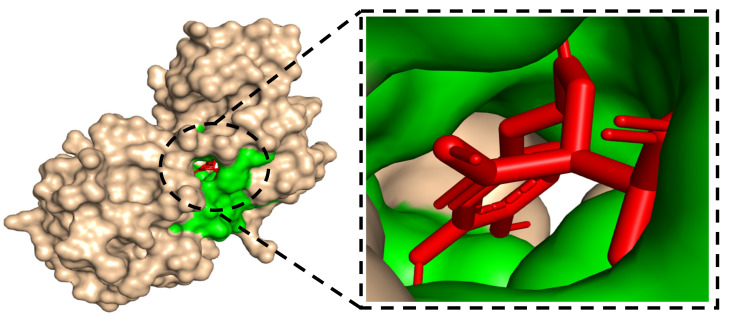 Figure 7