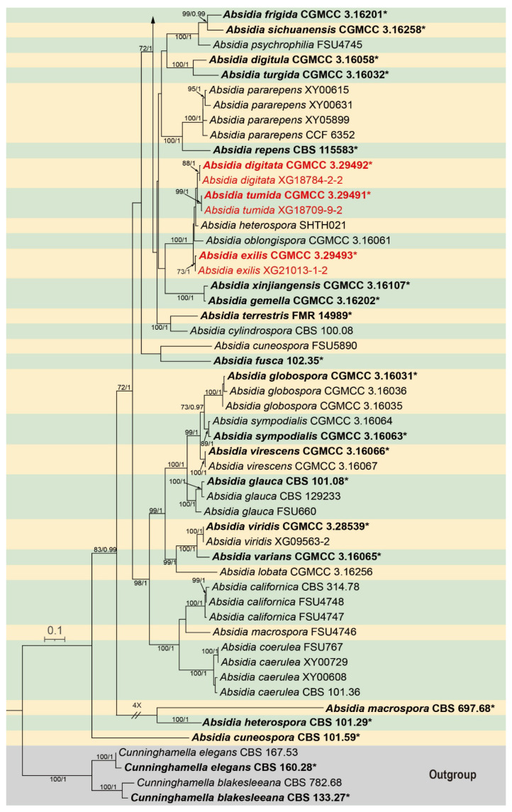 Figure 2