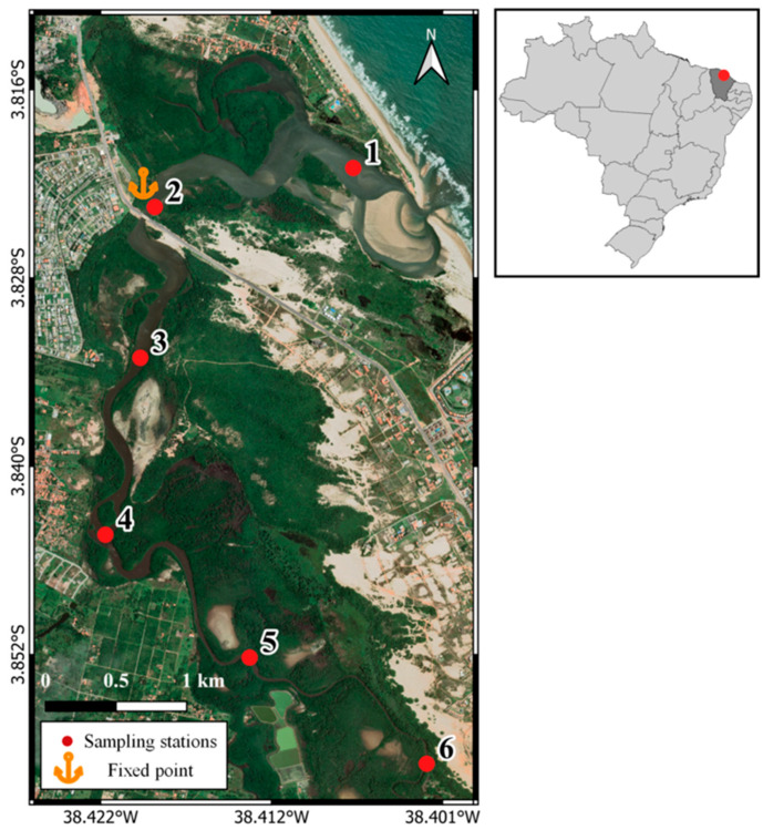 Figure 6