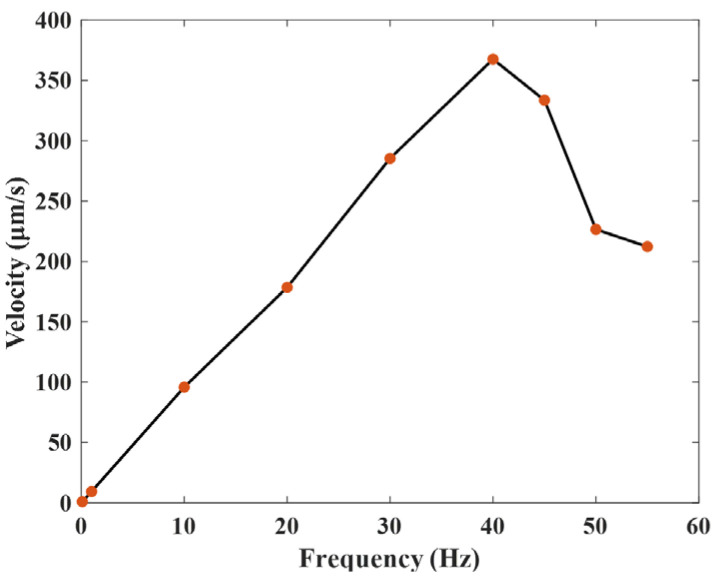 Figure 17